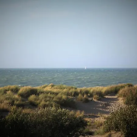 With Terrace For 4 People * Koksijde
