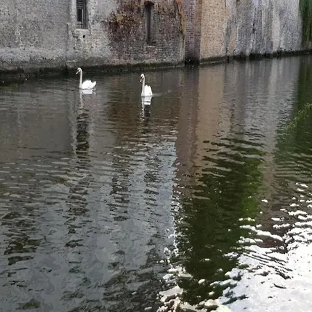 In Near Sint-andre